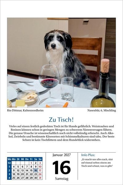 Produktbild: Hunde Tageskalender 2027