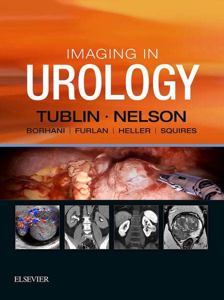 Produktbild: Imaging in Urology E-Book