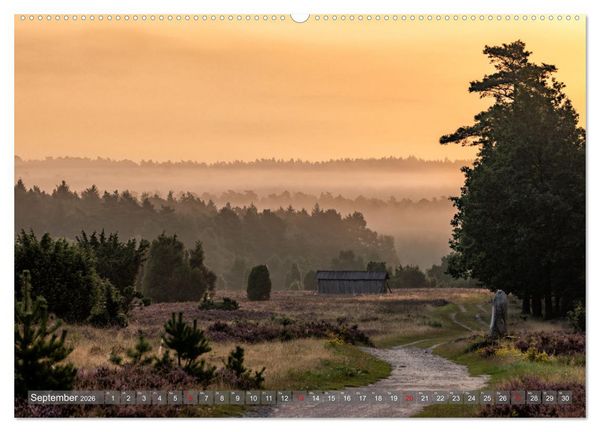 Produktbild: Die L&uuml;neburger Heide - In voller Bl&uuml;te (hochwertiger Premium Wandkalender 2026 DIN A2 quer), Kunstdruck in Hochglanz