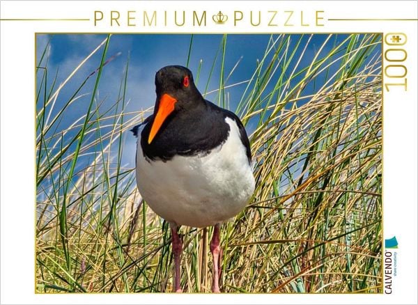 CALVENDO Puzzle Einheimischer | 1000 Teile Lege-Größe 64x48cm Foto-Puzzle für glückliche Stunden