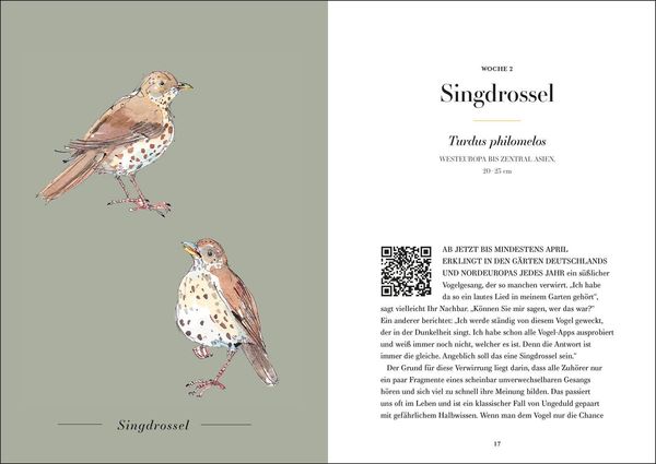Produktbild: Der Gesang der V&ouml;gel