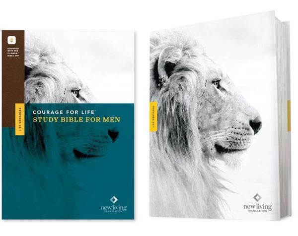 Produktbild: NLT Courage for Life Study Bible for Men, Filament Enabled (Hardcover)