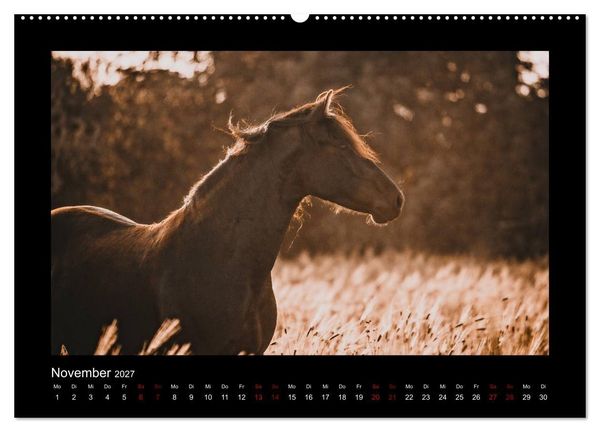 Produktbild: Die Faszinierende Welt der Pferde (hochwertiger Premium Wandkalender 2027 DIN A2 quer), Kunstdruck in Hochglanz