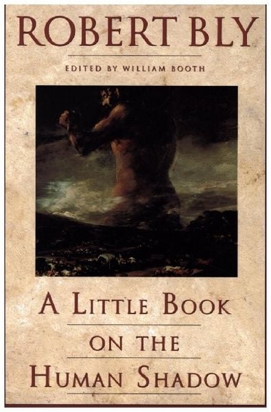 Produktbild: A Little Book on the Human Shadow