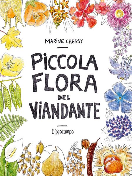 Produktbild: Piccola flora del viandante