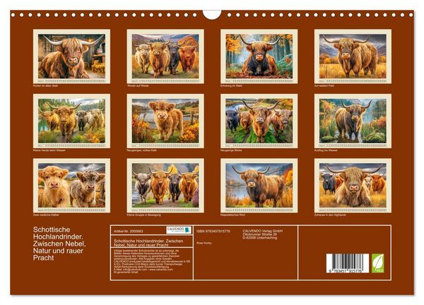 Produktbild: Schottische Hochlandrinder. Zwischen Nebel, Natur und rauer Pracht (Wandkalender 2026 DIN A3 quer), CALVENDO Monatskalender
