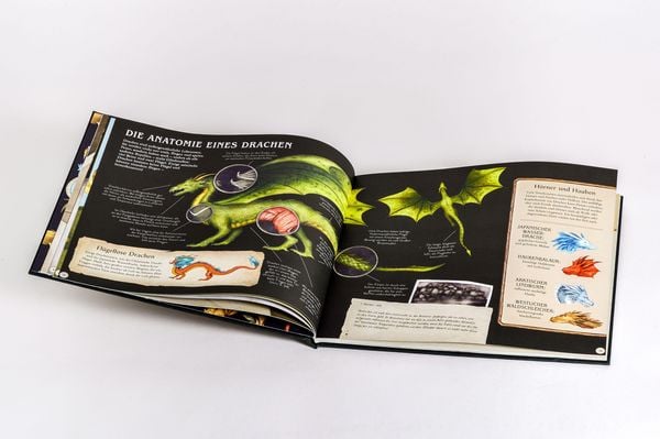 Produktbild: Das gro&szlig;e Handbuch der Drachen