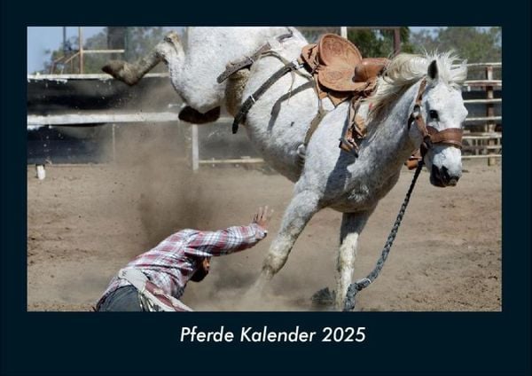 Produktbild: Pferde Kalender 2025 Fotokalender DIN A4