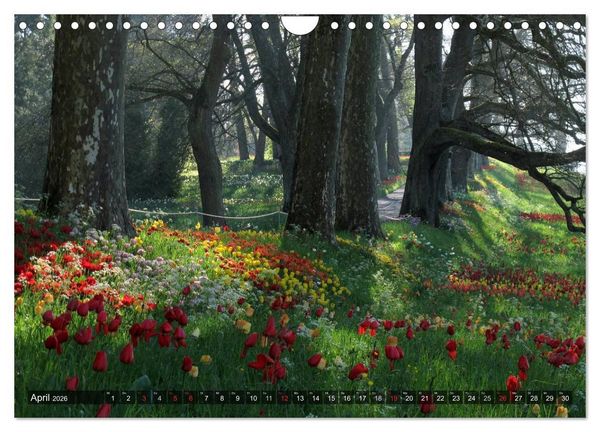 Produktbild: Zauberhafter Bodensee (Wandkalender 2026 DIN A4 quer), CALVENDO Monatskalender