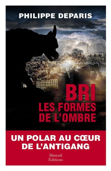Produktbild: BRI : les formes de l'ombre
