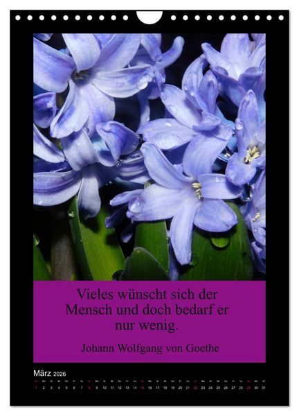 Produktbild: Lebensweisheiten mit Blumigen Gr&uuml;&szlig;en (Wandkalender 2026 DIN A4 hoch), CALVENDO Monatskalender