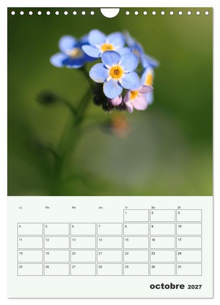 Produktbild: Fleurs en toute simplicit&eacute; - Beaut&eacute; minimaliste (Calendrier mural 2027 DIN A4 horizontal), CALVENDO calendrier mensuel
