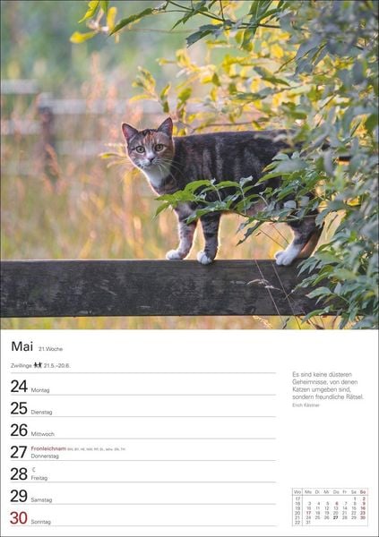 Produktbild: Katzen Wochenplaner 2027 - 53 faszinierende Fotografien