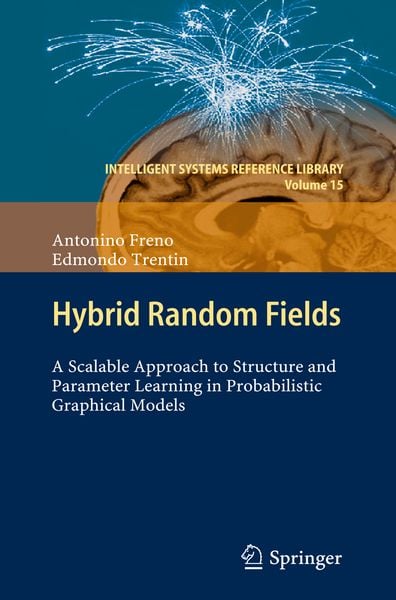 Produktbild: Hybrid Random Fields