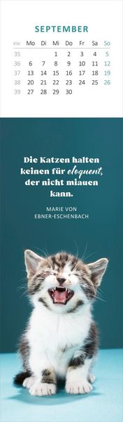 Produktbild: Lesezeichenkalender Katzengl&uuml;ck 2027