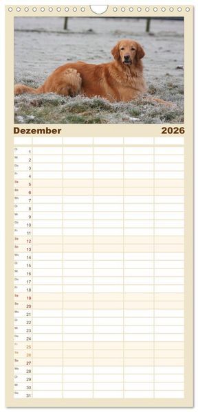 Produktbild: Familienplaner 2026 - Hovawart - nat&uuml;rlich blond mit 5 Spalten (Wandkalender, 21 x 45 cm) CALVENDO