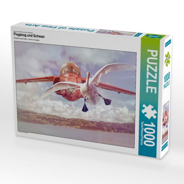 Produktbild: CALVENDO Puzzle Flugzeug und Schwan | 1000 Teile Lege-Gr&ouml;&szlig;e 64x48cm Foto-Puzzle f&uuml;r gl&uuml;ckliche Stunden