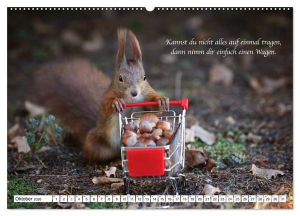 Produktbild: Tipps von Eichh&ouml;rnchen an Eichh&ouml;rnchenliebhaber (hochwertiger Premium Wandkalender 2026 DIN A2 quer), Kunstdruck in Hochglanz