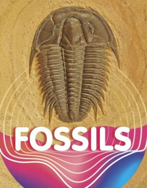 Produktbild: Fossils