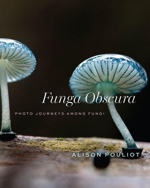 Produktbild: Funga Obscura