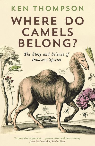 Produktbild: Where Do Camels Belong?