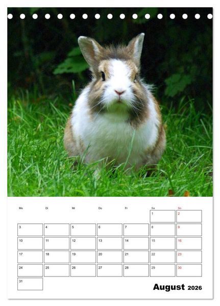 Produktbild: Kaninchen Terminplaner (Tischkalender 2026 DIN A5 hoch), CALVENDO Monatskalender