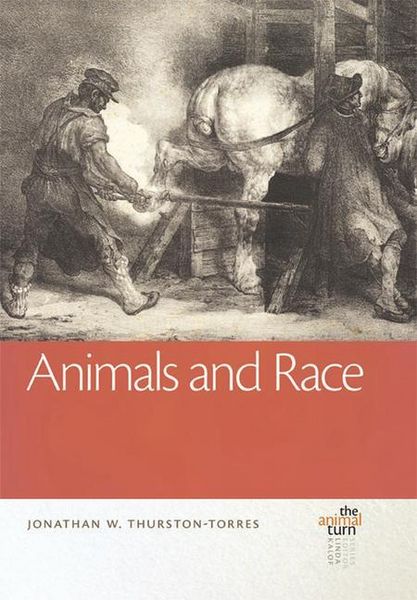 Produktbild: Animals & Race