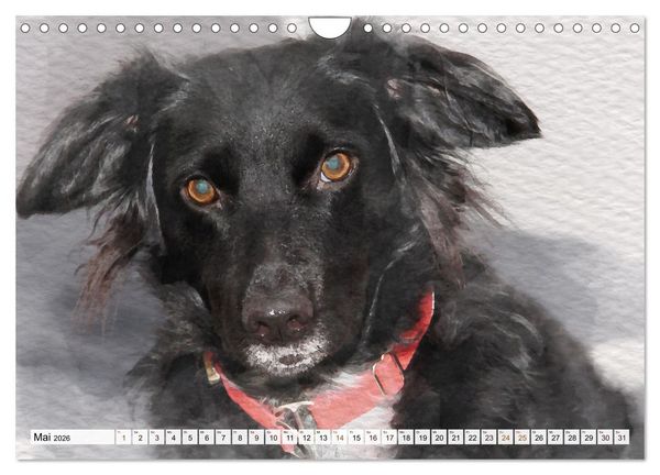 Produktbild: Niedliche Hunde - Digitale Aquarelle (Wandkalender 2026 DIN A4 quer), CALVENDO Monatskalender
