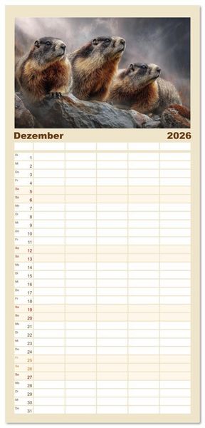 Produktbild: Familienplaner 2026 - Alpenpl&uuml;sch - Mit Murmeltieren durchs Jahr mit 5 Spalten (Wandkalender, 21 x 45 cm) CALVENDO