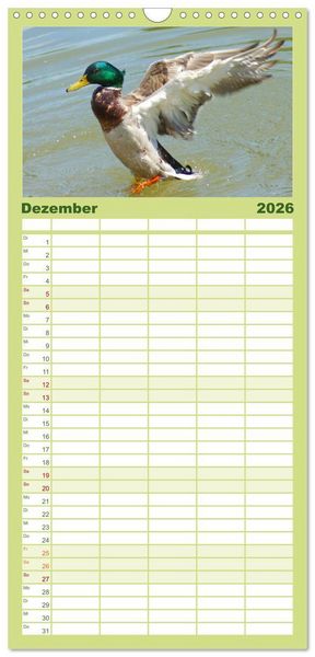 Produktbild: Familienplaner 2026 - Duck Power mit 5 Spalten (Wandkalender, 21 x 45 cm) CALVENDO