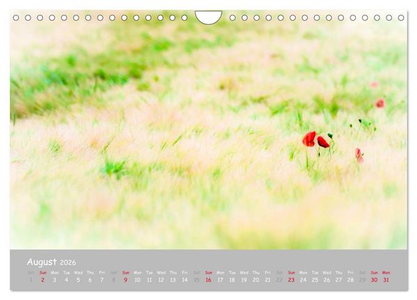 Produktbild: Poppy Love (Wall Calendar 2026 DIN A4 landscape), CALVENDO 12 Month Wall Calendar