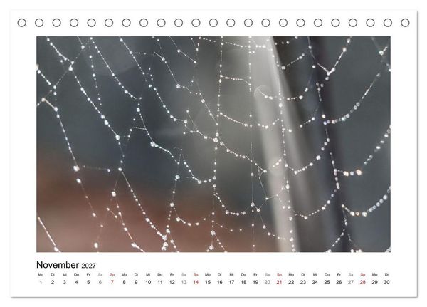 Produktbild: Naturkunstwerke (Tischkalender 2027 DIN A5 quer), CALVENDO Monatskalender