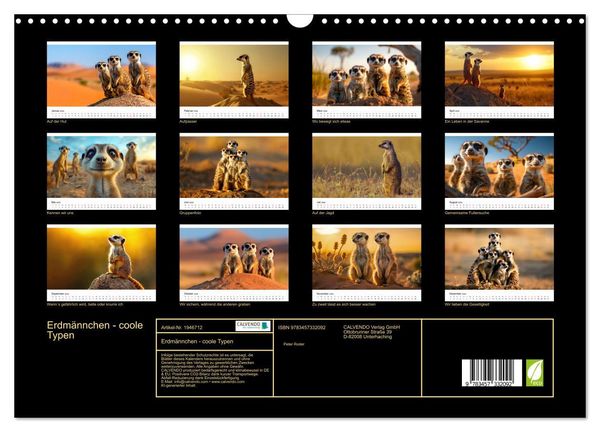 Produktbild: Erdm&auml;nnchen - coole Typen (Wandkalender 2026 DIN A3 quer), CALVENDO Monatskalender