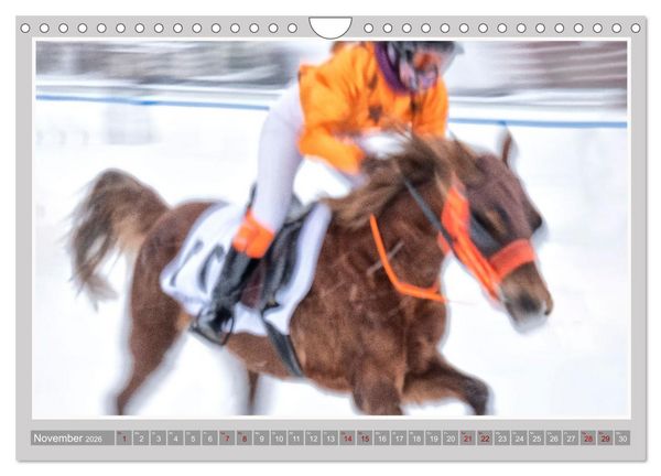 Produktbild: Pferde-Rennen auf Schnee und im Wasser (Wandkalender 2026 DIN A4 quer), CALVENDO Monatskalender