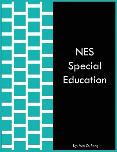 Produktbild: NES Special Education