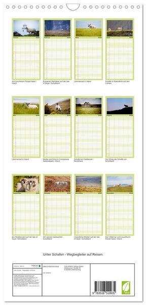 Produktbild: Familienplaner 2026 - Unter Schafen - Wegbegleiter auf Reisen mit 5 Spalten (Wandkalender, 21 x 45 cm) CALVENDO