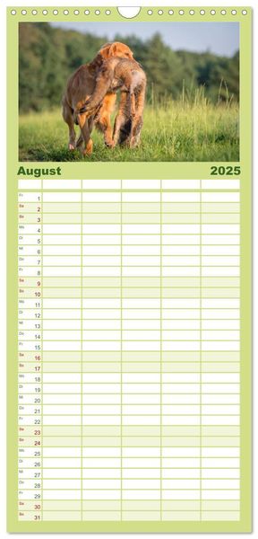 Familienplaner 2025 - Jagdhunde bei der Arbeit mit 5 Spalten (Wandkalender, 21 x 45 cm) CALVENDO