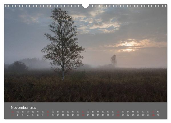 Produktbild: Der Federsee - Vogelparadies in Oberschwaben (Wandkalender 2026 DIN A3 quer), CALVENDO Monatskalender