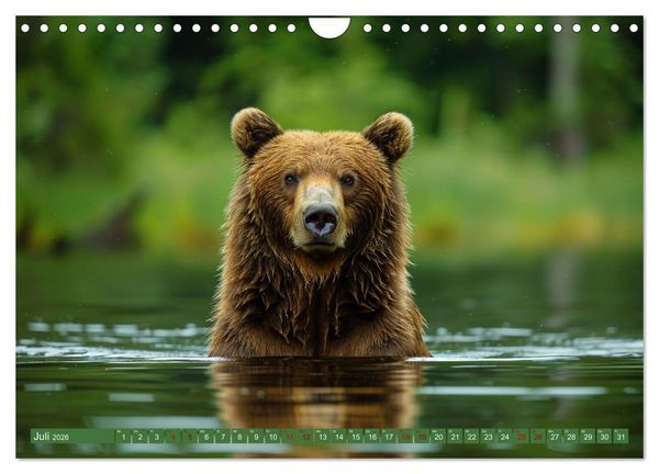 Produktbild: Wildes B&auml;renland (Wandkalender 2026 DIN A4 quer), CALVENDO Monatskalender