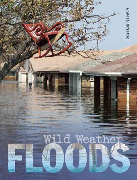 Produktbild: Wild Weather Floods