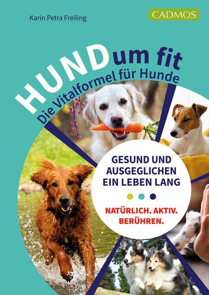 Produktbild: HUNDum fit