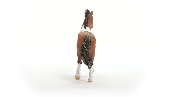 Produktbild: schleich&reg; Horse Club Mangalarga Marchador Hengst 11,3cm