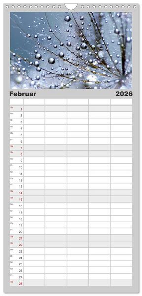 Produktbild: Familienplaner 2026 - Naturjuwel Pusteblume mit 5 Spalten (Wandkalender, 21 x 45 cm) CALVENDO