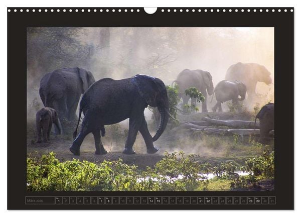 Produktbild: Kenia (Wandkalender 2026 DIN A3 quer), CALVENDO Monatskalender