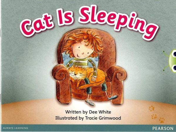 Produktbild: Bug Club Guided Fiction Reception Pink A Cat is Sleeping