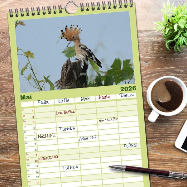 Produktbild: Familienplaner 2026 - Der Wiedehopf mit 5 Spalten (Wandkalender, 21 x 45 cm) CALVENDO