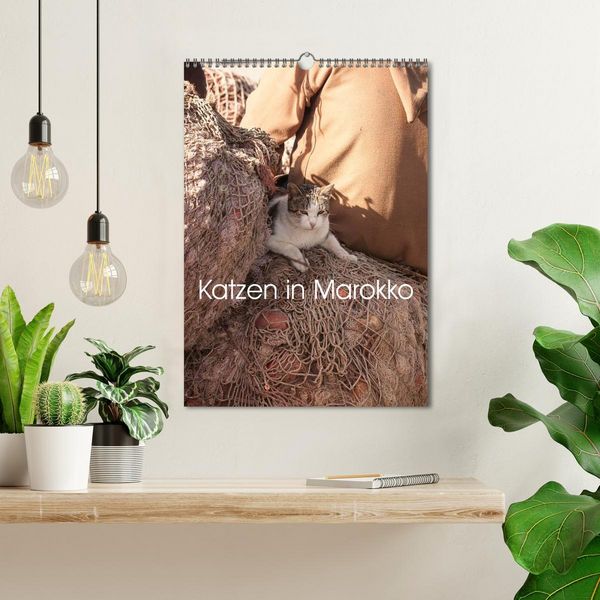 Produktbild: Katzen in Marokko (Wandkalender 2026 DIN A3 hoch), CALVENDO Monatskalender