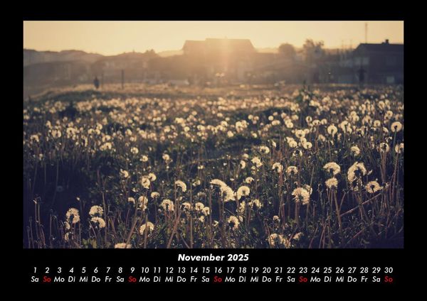 Produktbild: Blumenkalender 2025 Fotokalender DIN A3