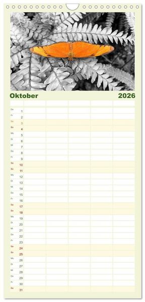 Produktbild: Familienplaner 2026 - Gefl&uuml;gelte Sch&ouml;nheiten der Tropen mit 5 Spalten (Wandkalender, 21 x 45 cm) CALVENDO