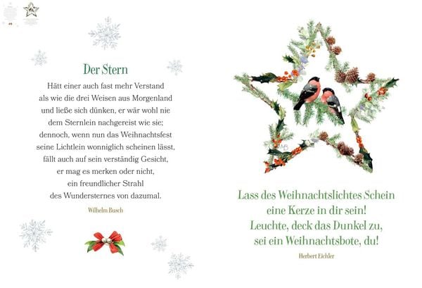 Produktbild: Und wir sehen schon den Stern